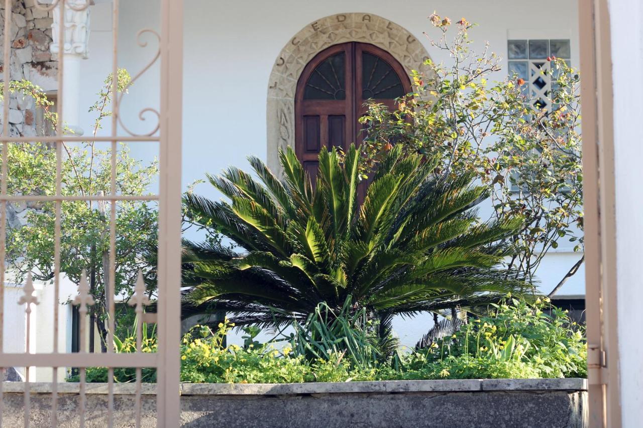 Casa Vacanza D'Arte Salentina Specchia Exterior foto